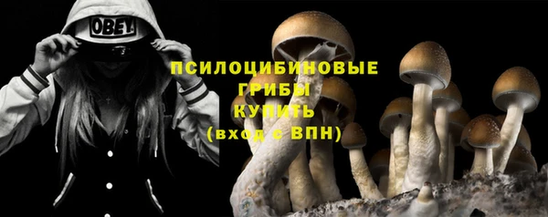 a pvp Карталы