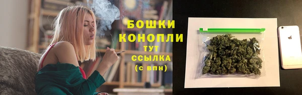 спайс Карпинск